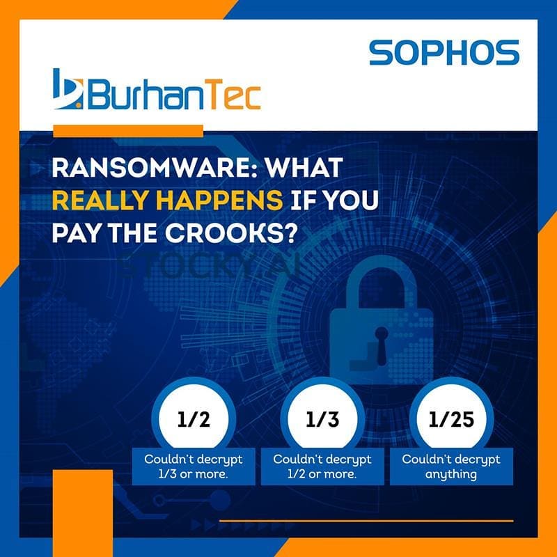 what-really-happens-if-you-pay-the-crooks-burhantec